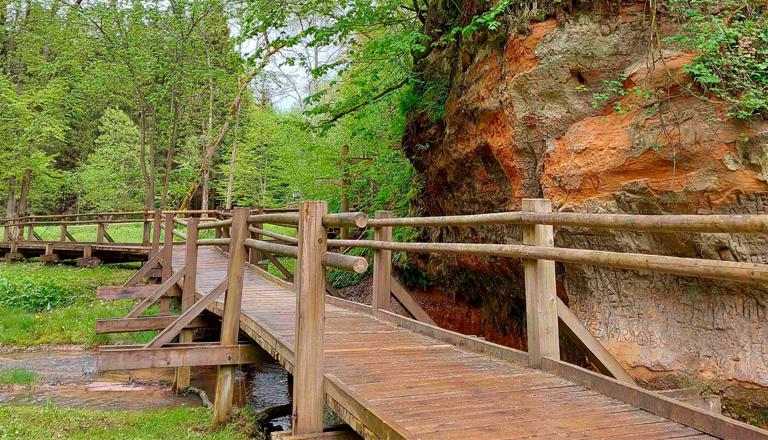 Koka laipa gar smilšakmens atsegumu Vikmestes takā