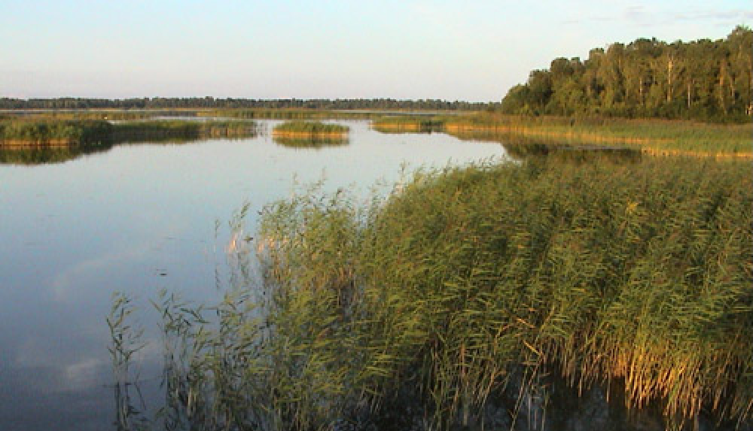 iadt_npkemeri_kaniera