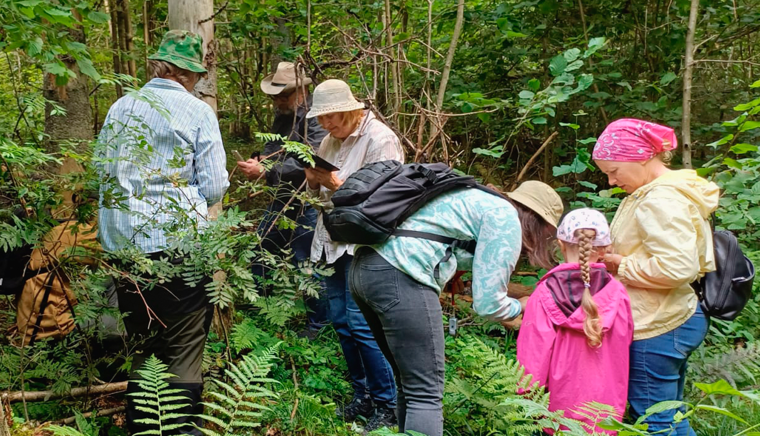 Ķērpju pētnieki Krustkalnu dabas rezervātā