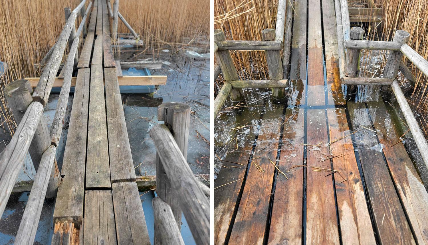 Applūdusi Kaņiera ezera laipa