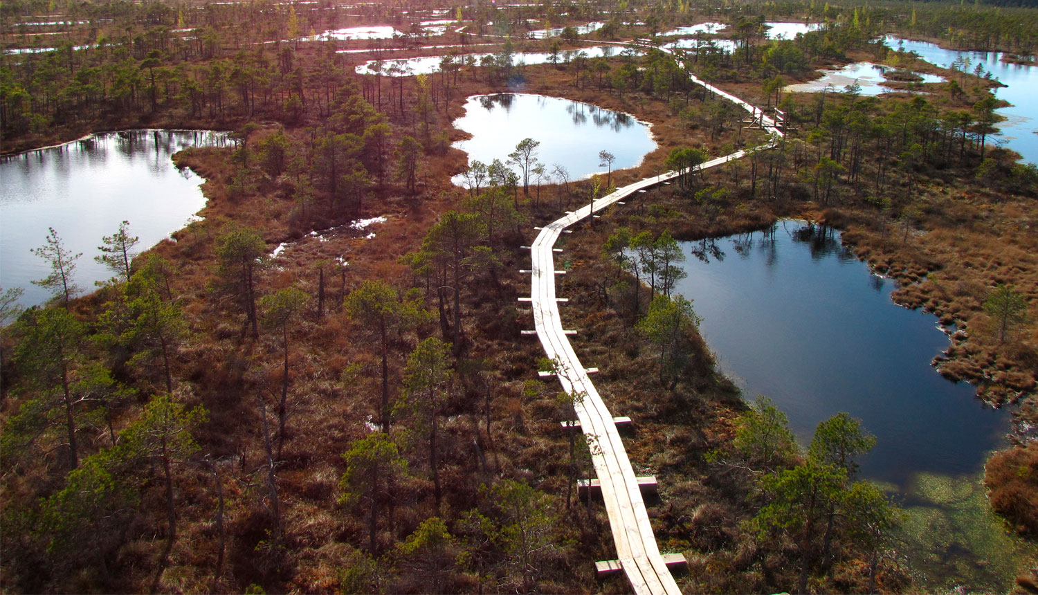 Ķemeru tīreļa laipa