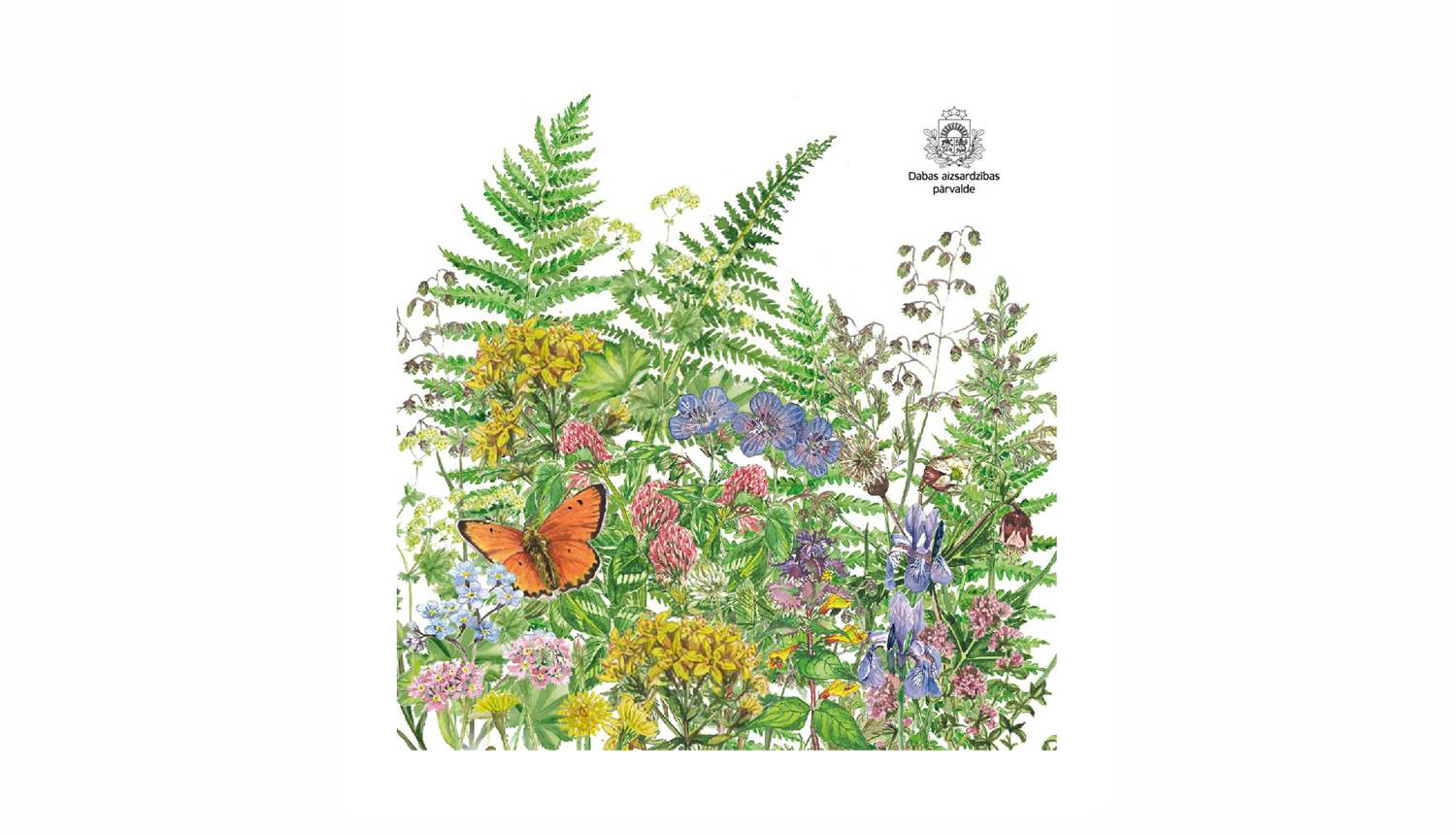 Līgo svētku apsveikums