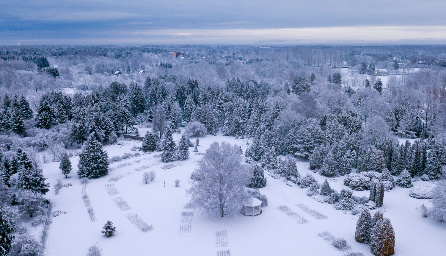 Nacionālā botāniskā dārza ainava ziemā