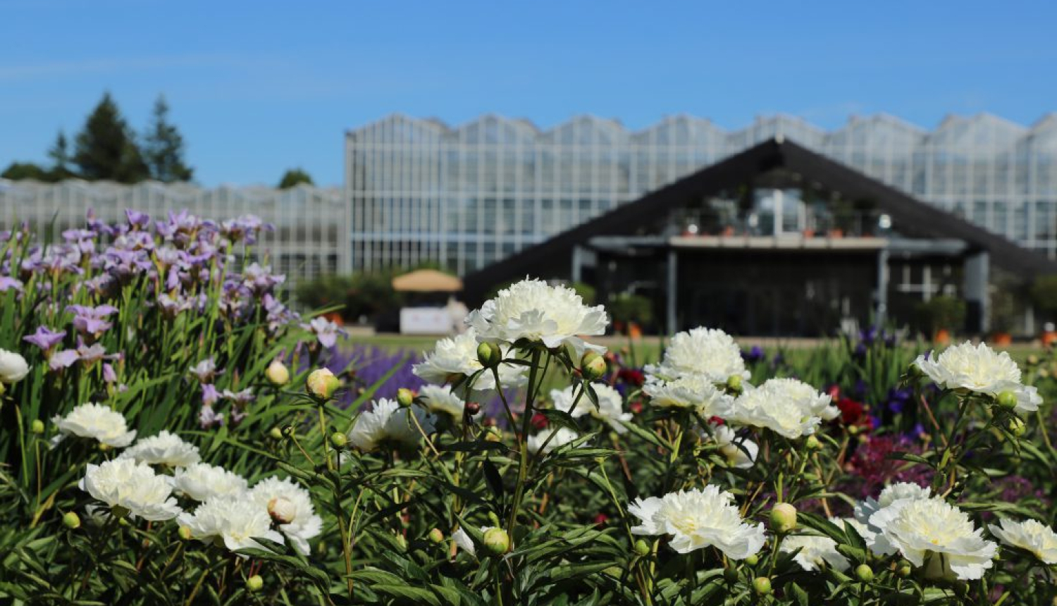 Nacionālais botāniskais dārzs