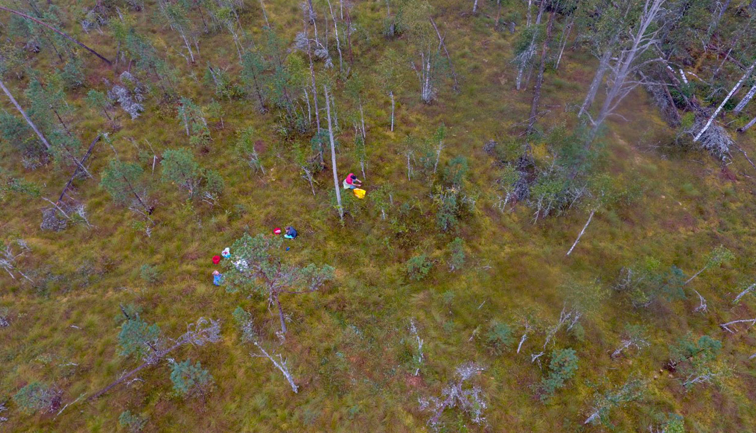 Ogotāji Teiču purvā