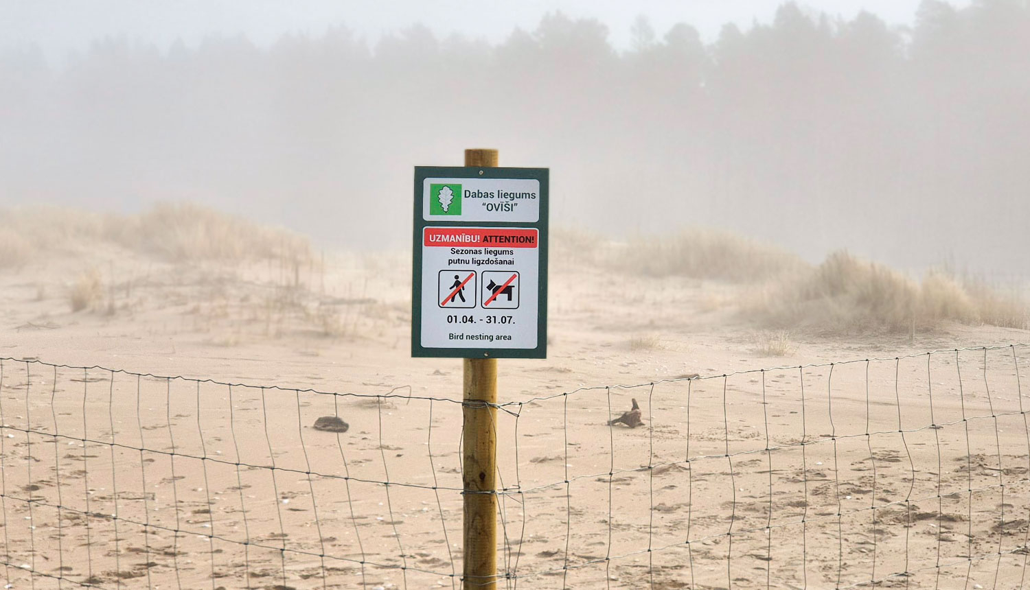 Putnu lieguma teritorija