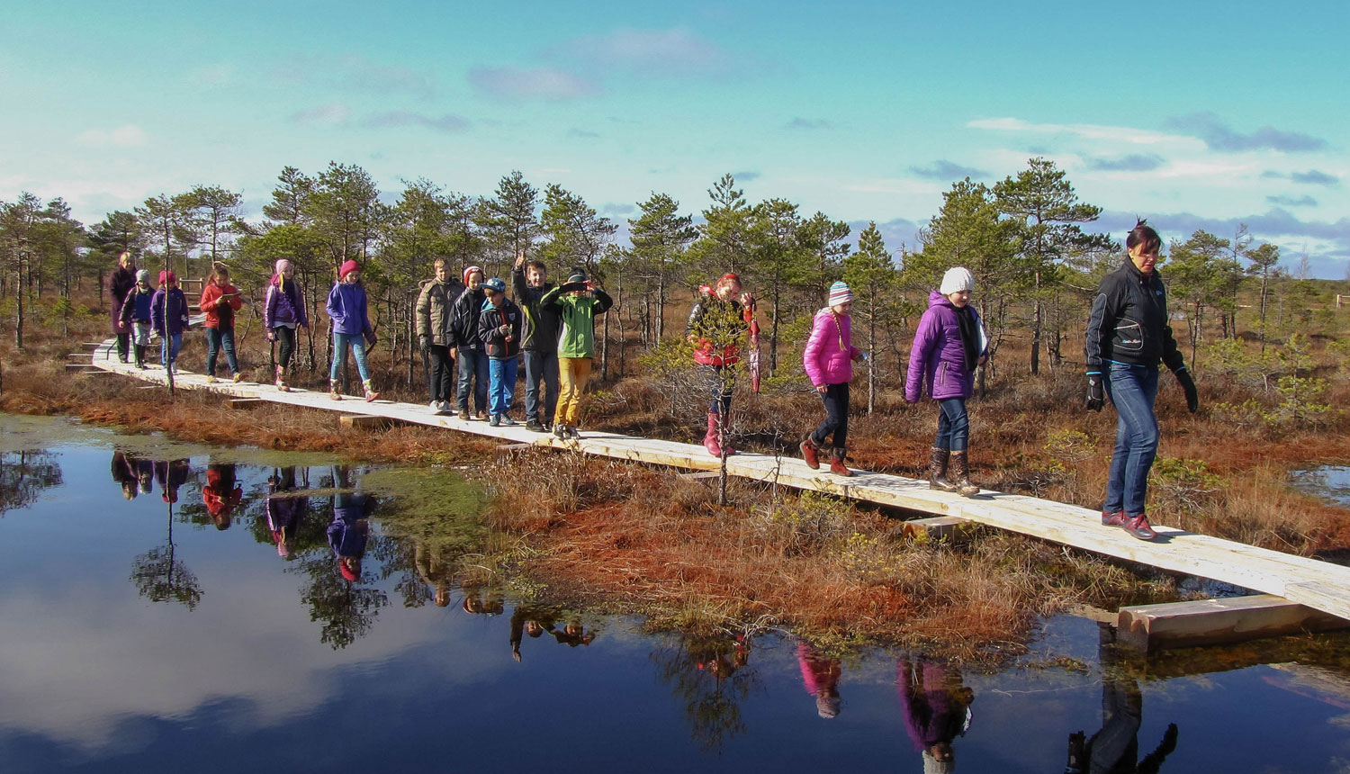 Pārgājiens pa purva laipu