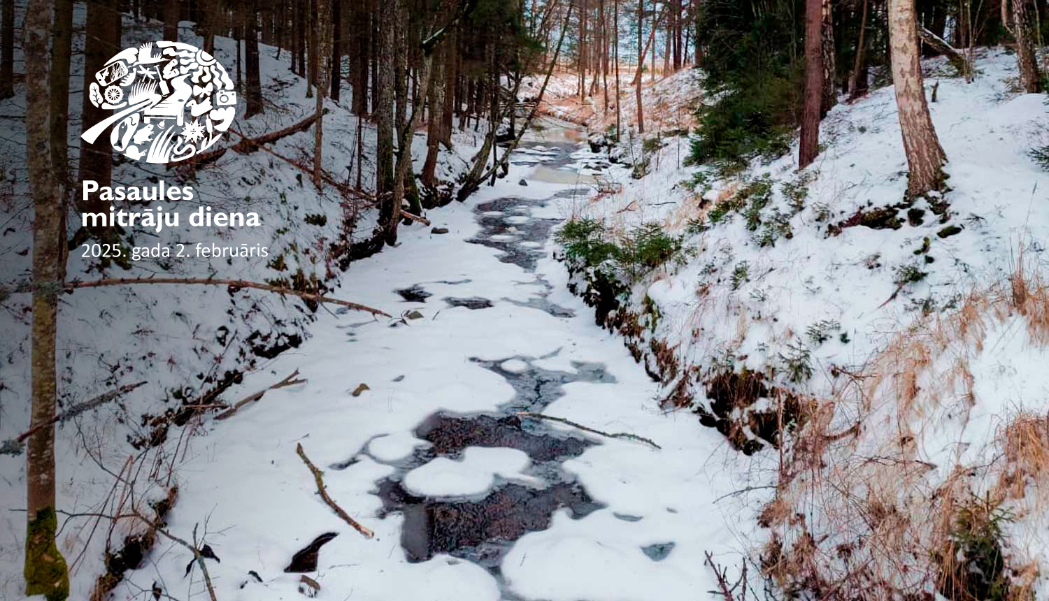 Aizsalis grāvis mežā