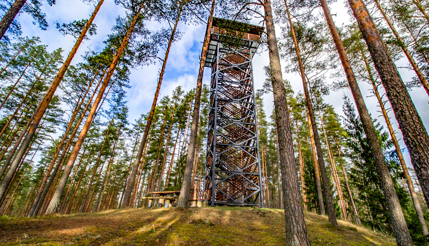 Cirgaļu skatu tornis. Foto Andris Soms