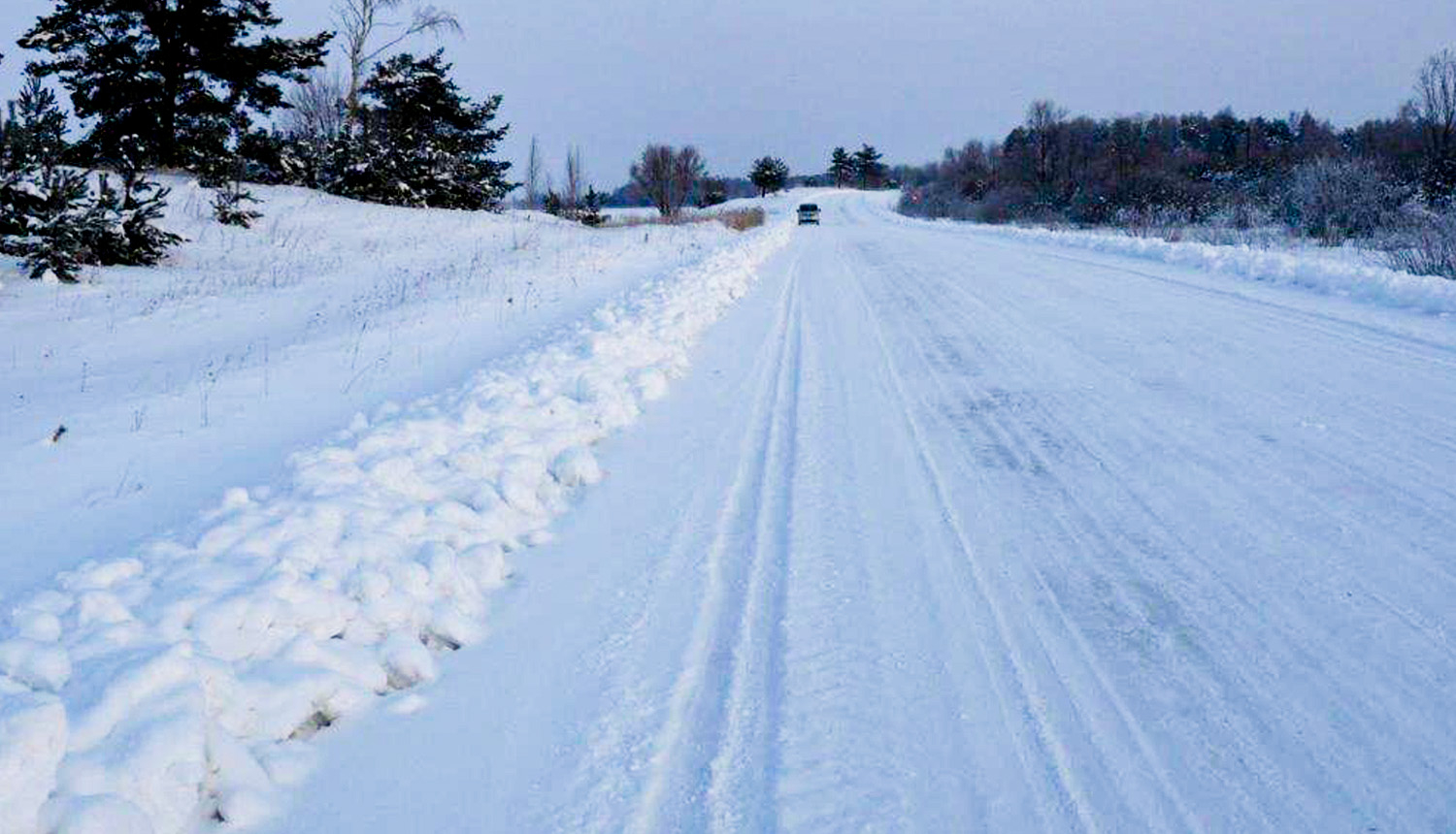 Ziema. No sniega attīrīts lauku ceļš, gar malām apsnigusi koki