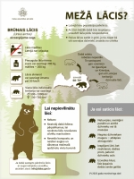 Mežā lācis? Pamata informācija par brūno lāci un ieteikumi rīcībai, sastopoties ar šo dzīvnieku.
