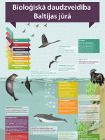 Infografika. Bioloģisko daudzveidība Baltijas jūrā.