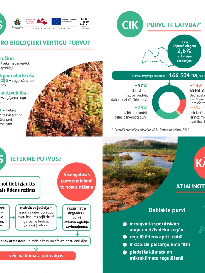 Dabas skaitīšanas rezultāti - purvs