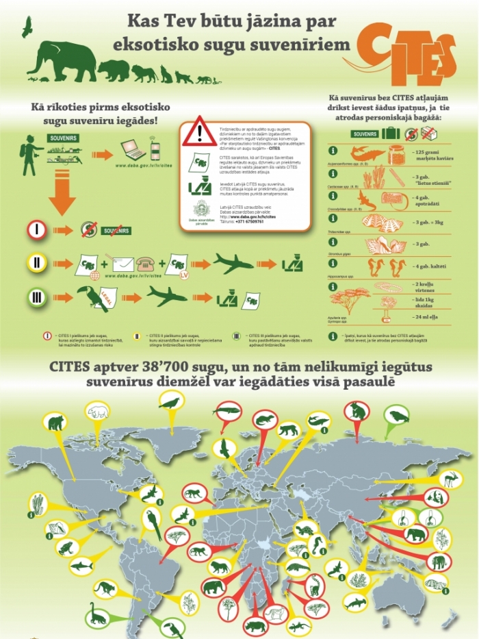 Infografika CITES - kā rīkoties?