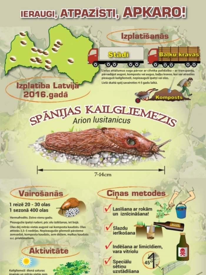 Ieraugi, atpazīsti, apkaro. Invazīvā suga Spānijas kailgliemezis (2016)