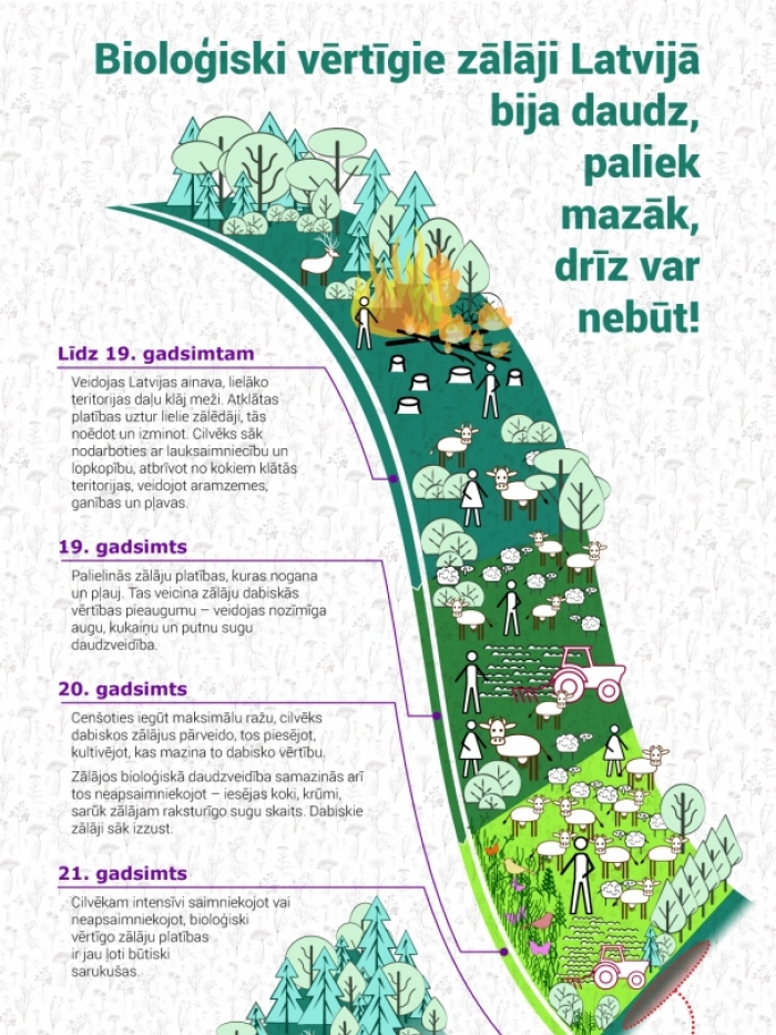 Bioloģiski vērtīgu zālāju veidošanās laika skala