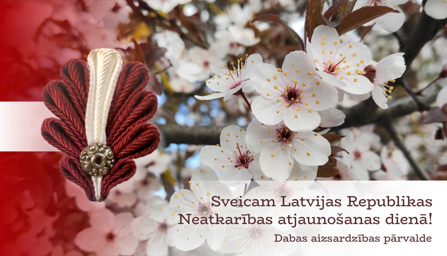 Sveicam Latvijas Republikas neatkarības atjaunošanas dienā!