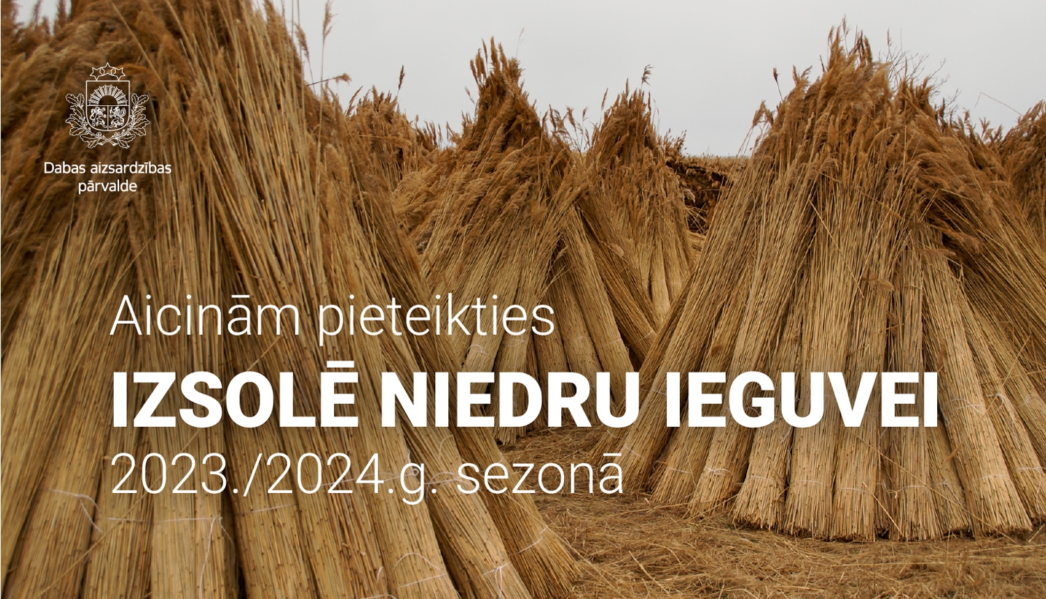 Niedru ieguves izsole