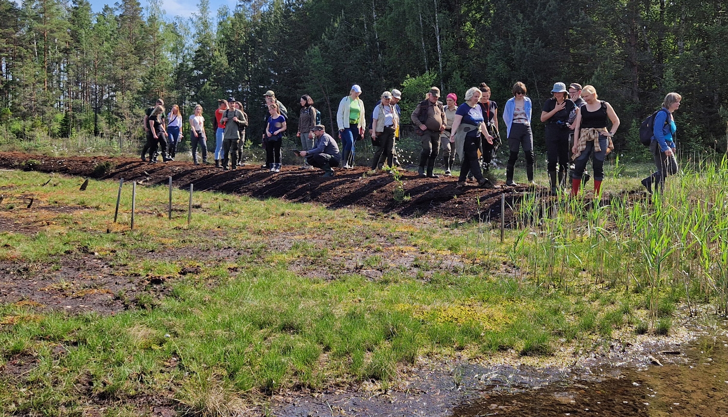 Sūnu eksperti Ķemeru NP