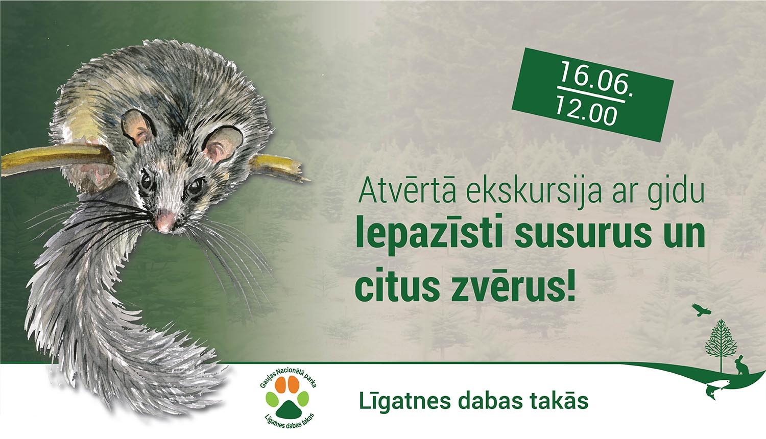 Susuru ekskursija Līgatns dabas takās
