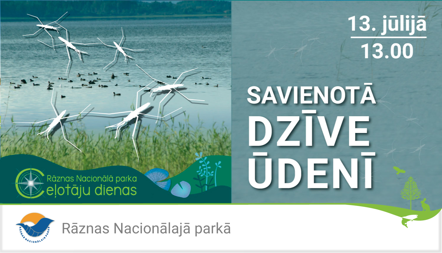 Ūdeņos sastopamās sugas ezerā
