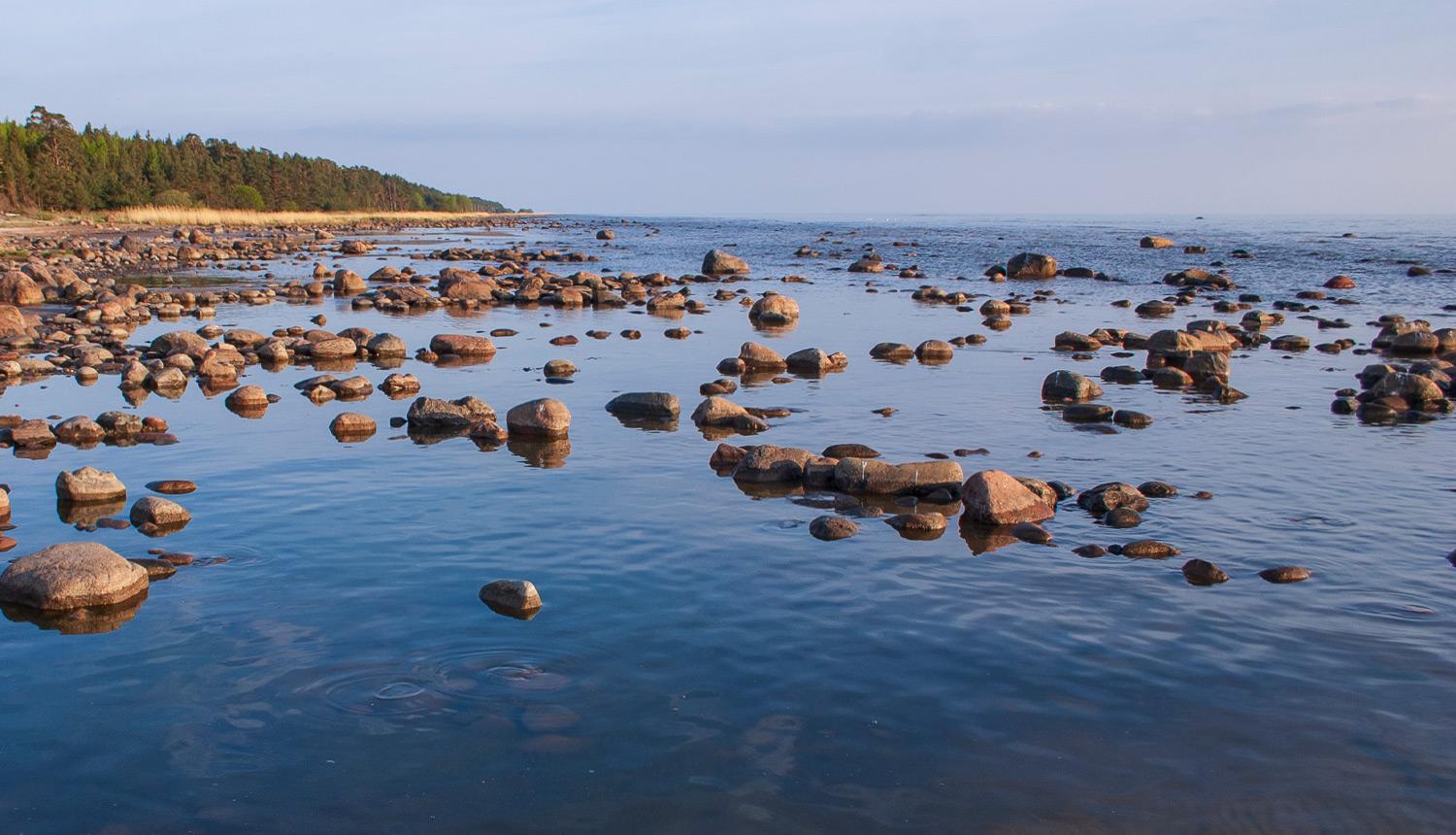 Akmeņaina jūramala vasarā. Foto: Andris Soms