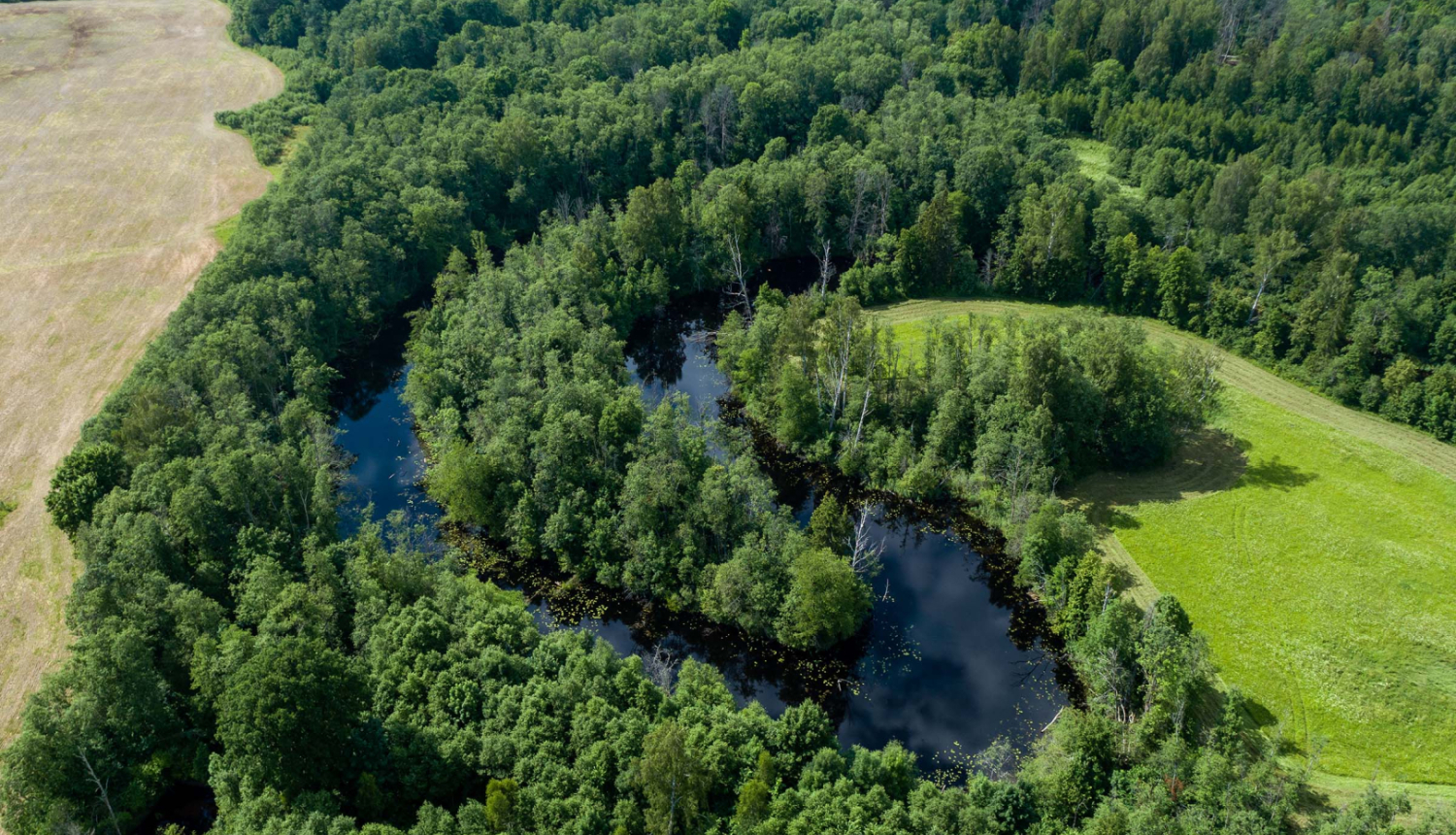 Dabas parks OGRES IELEJA. Foto Jānis Zilvers