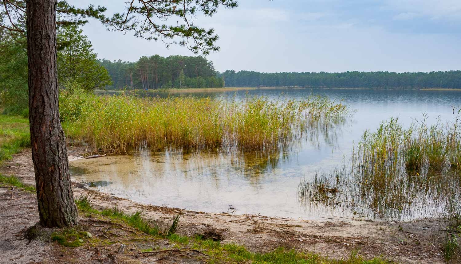 Dabas parks Piejūra. Ummja ezers. Foto: Andris Soms