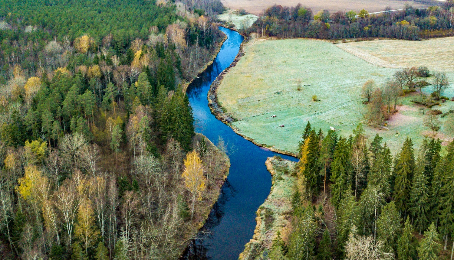 Dabas parks SALACAS IELEJA. Ramatas grīva