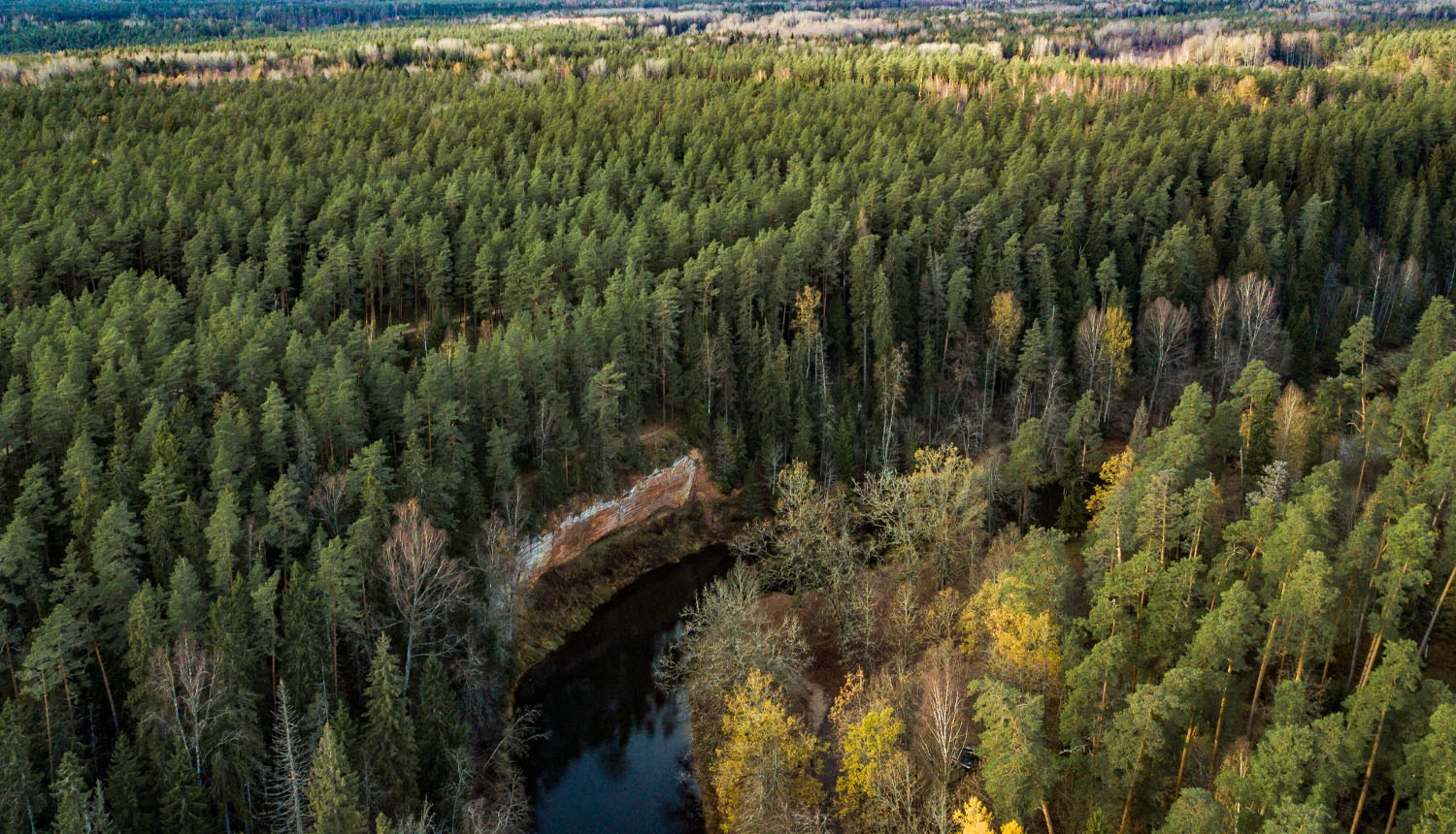 Dabas parks SALACAS IELEJA. Skaņaiskalns