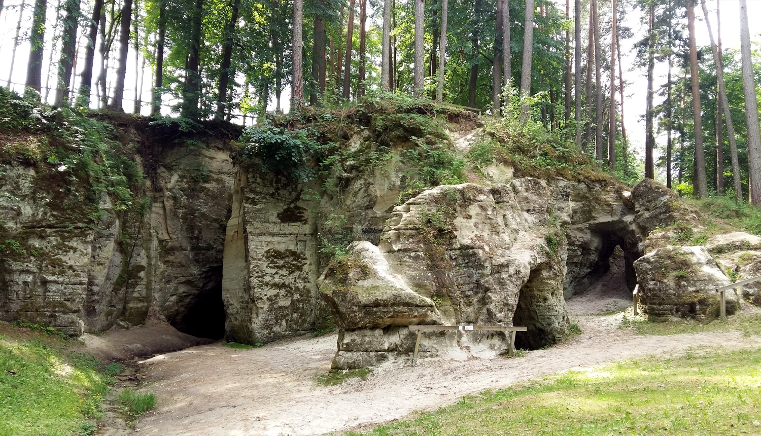 Dabas piemineklis Lielas Lielā Ellīte. Foto: Baiba Līviņa