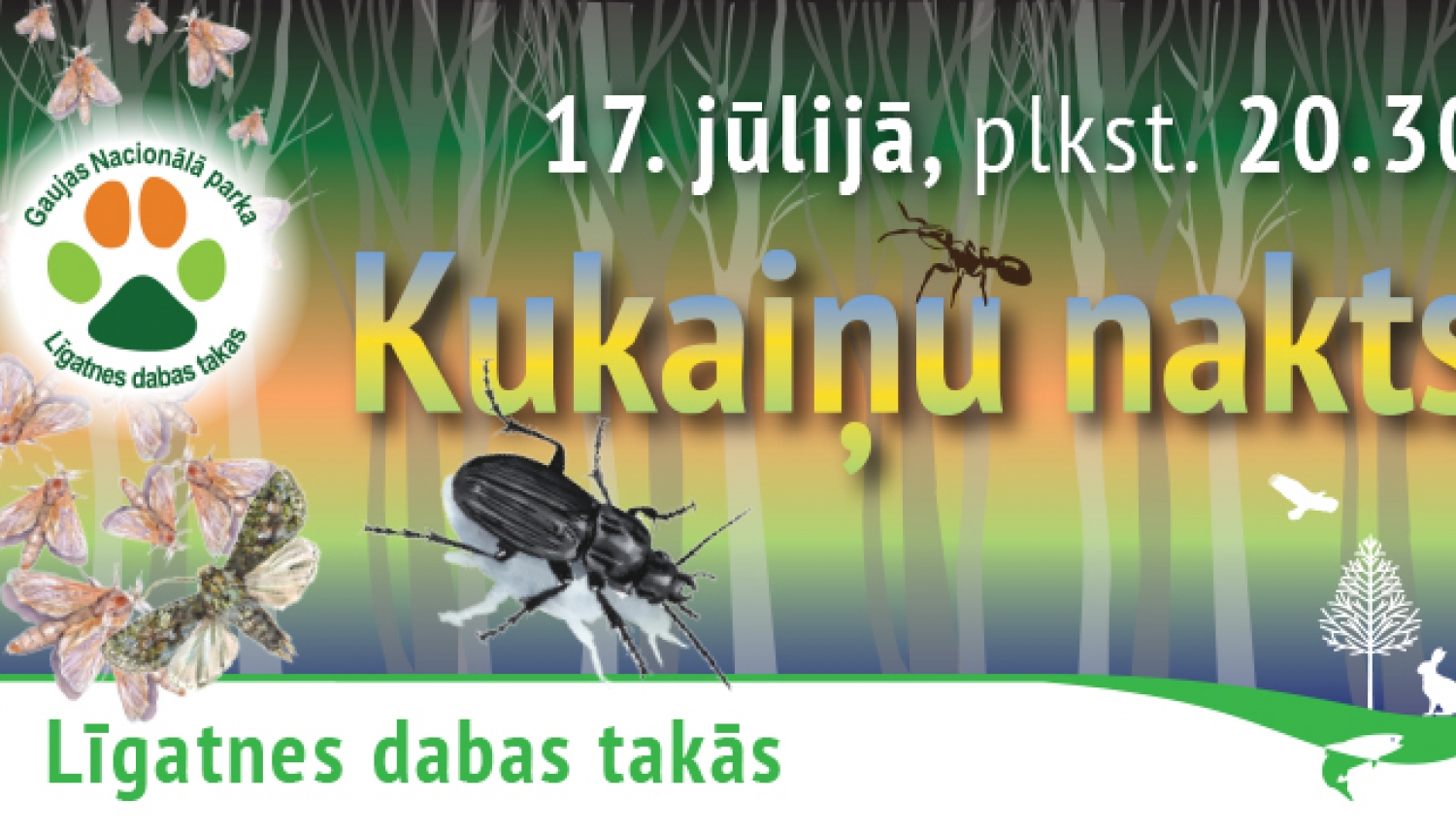 Kukaiņu nakts Līgatnes dabas takās