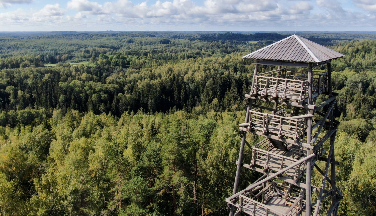 Lielā Liepukalna skatu tornis