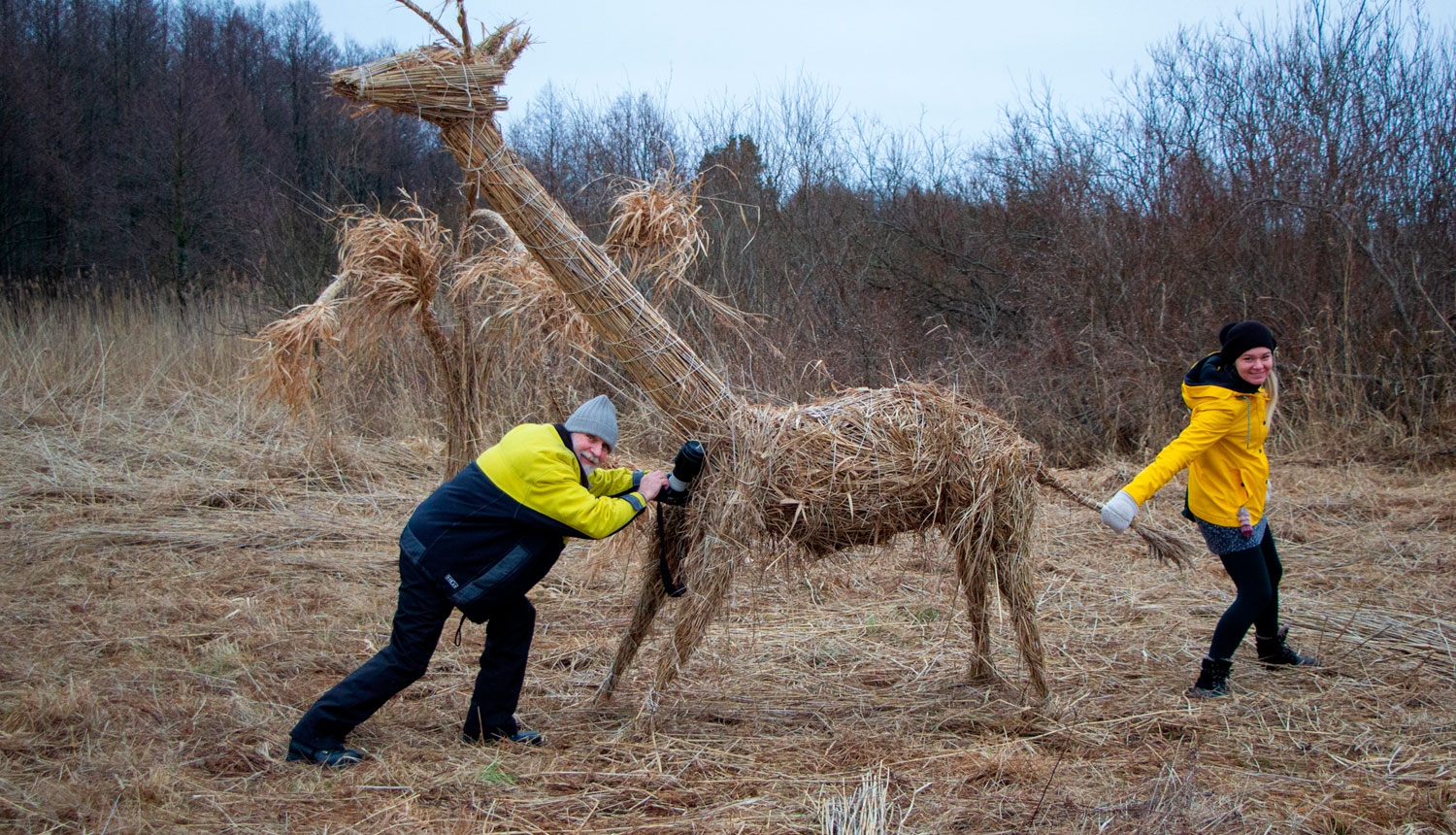 Niedru skulptūru festivāls 2020.