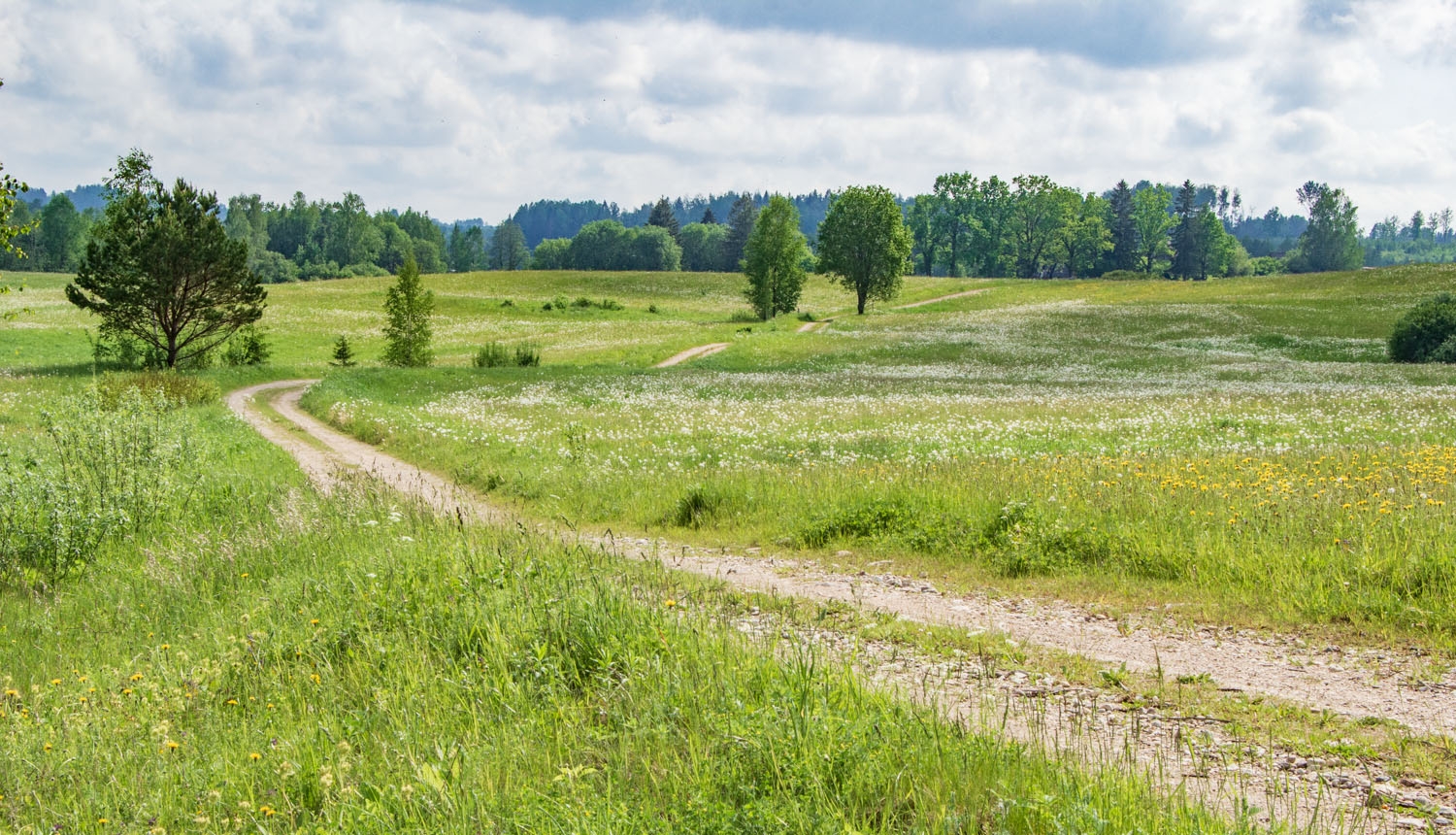 Pļava ar lauku ceļu