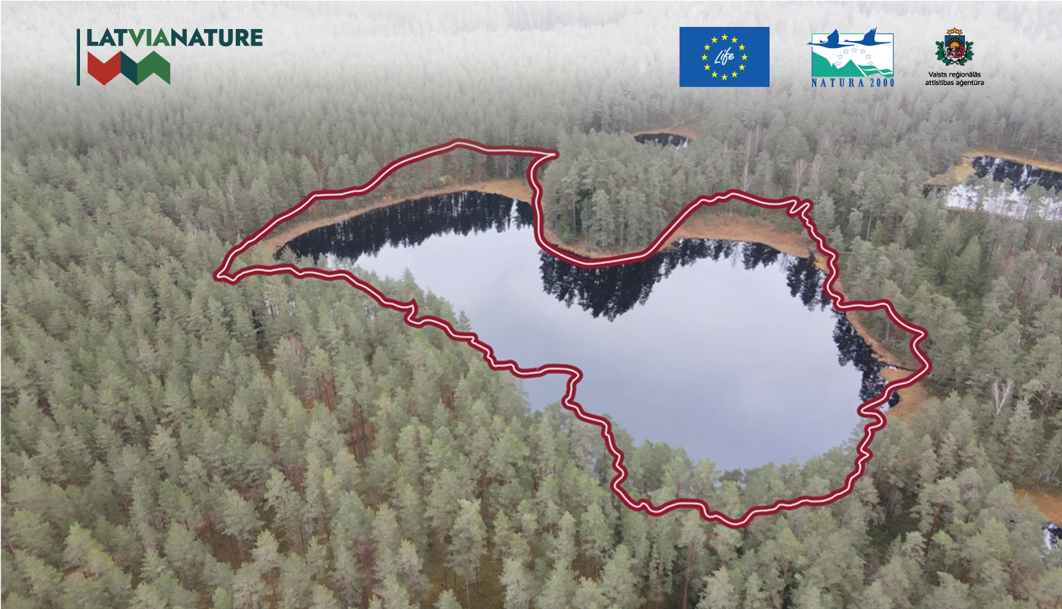Latvijas ainava ar mežu un ezeru