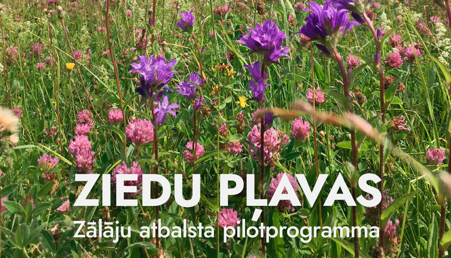 programma Ziedu pļavas