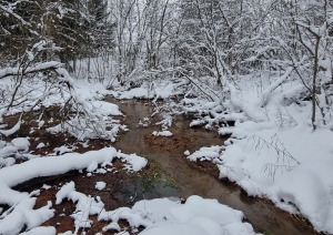 Kaļļu avoti ziemā. Foto Fanija Šitca